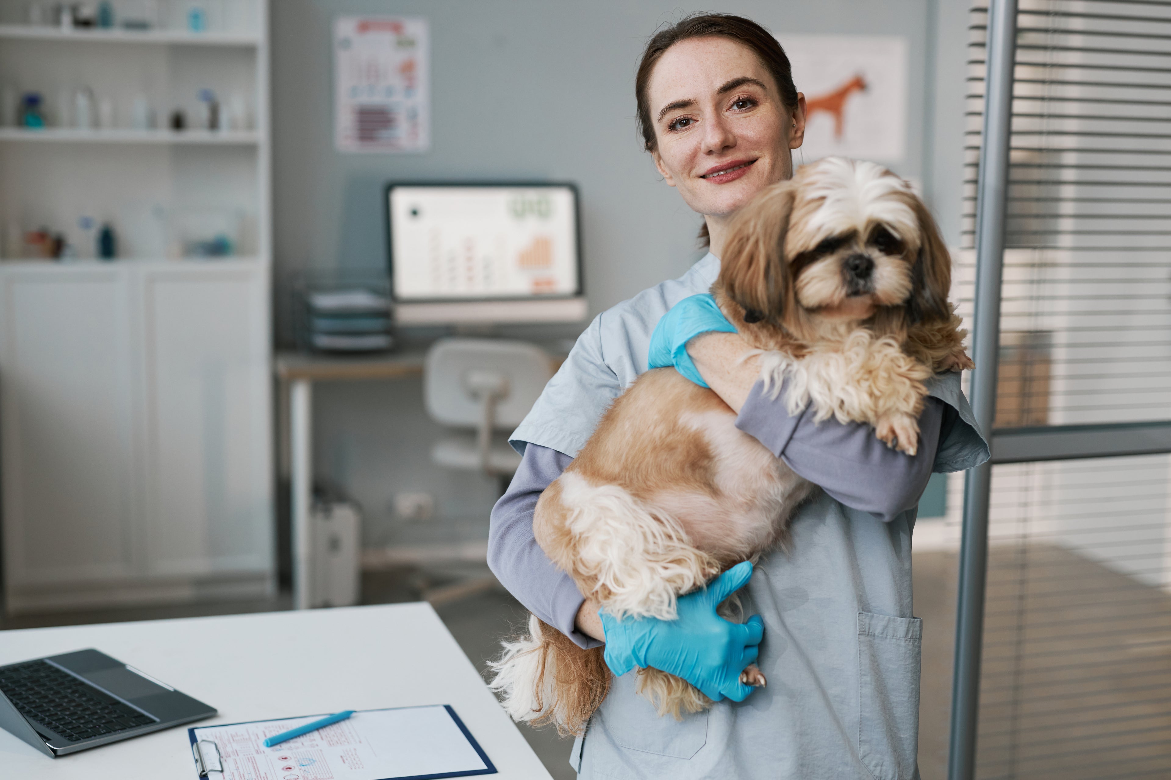 Female vet with a dog in a veterinary clinic, thinking about options for veterinary practice loans and a line of credit for her veterinary practice to support growth.