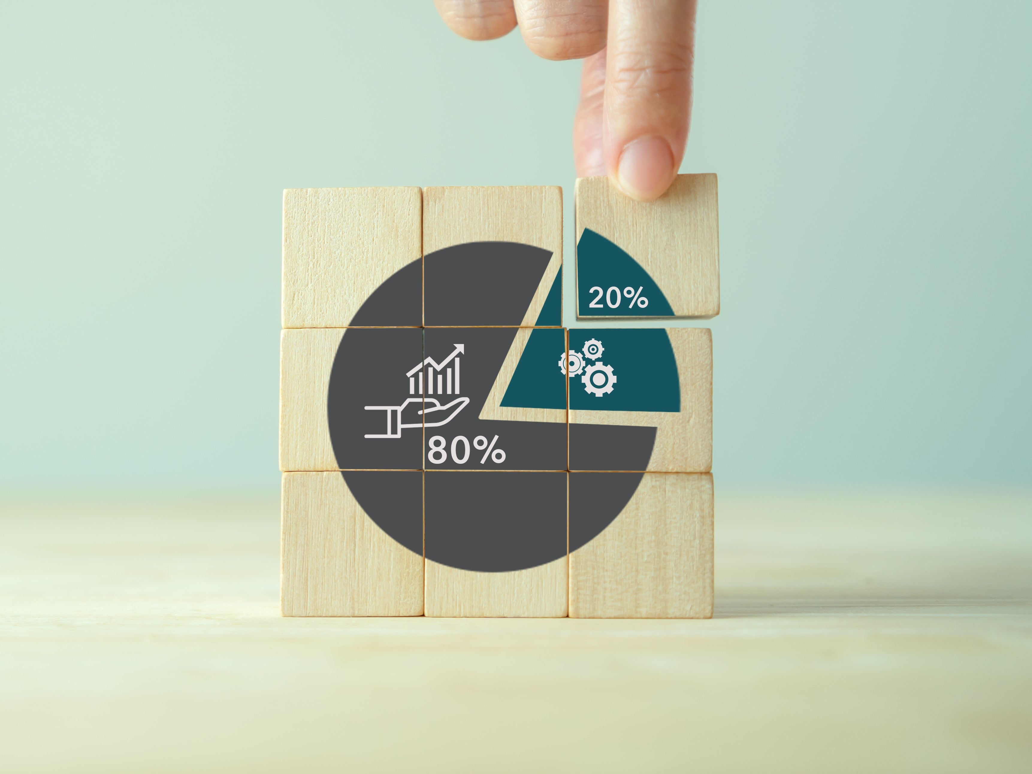 Pie chart showing 80 20