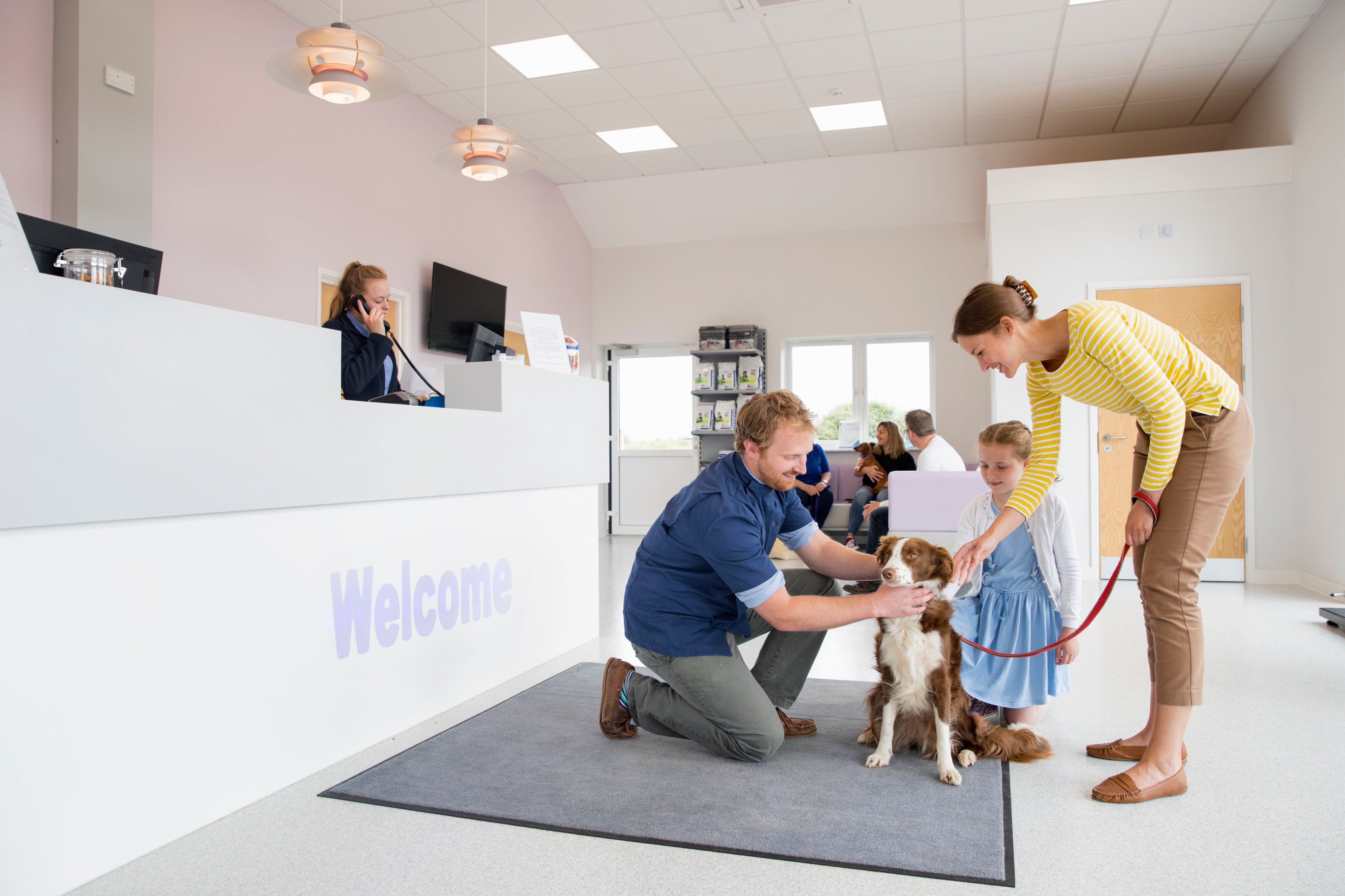 Commercial property for a veterinary clinic, highlighting options for dental practice loans to purchase or expand clinic spaces.