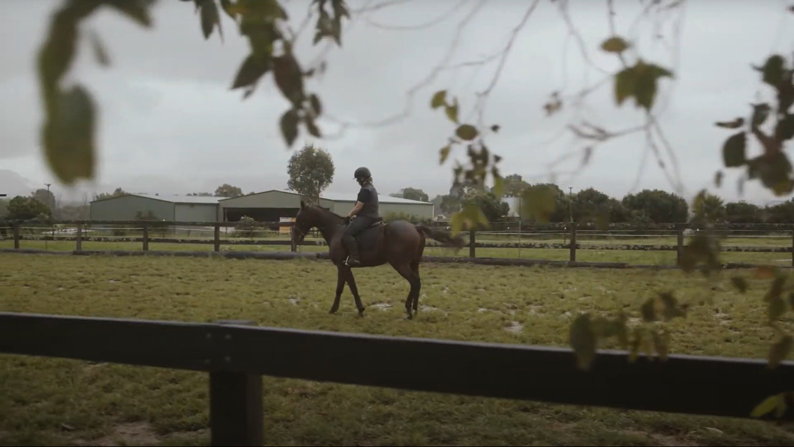 Dr Christine Smith riding a horse.