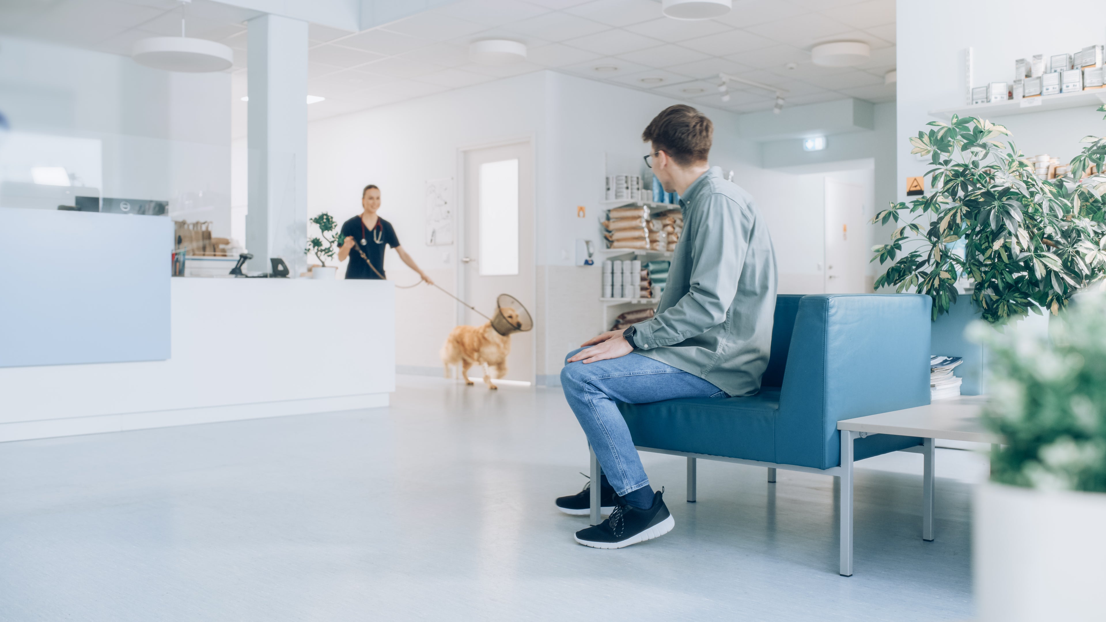 A veterinary practice waiting room, representing the opportunities vet practice loans provide for fitting out or refurbishing veterinary practices.