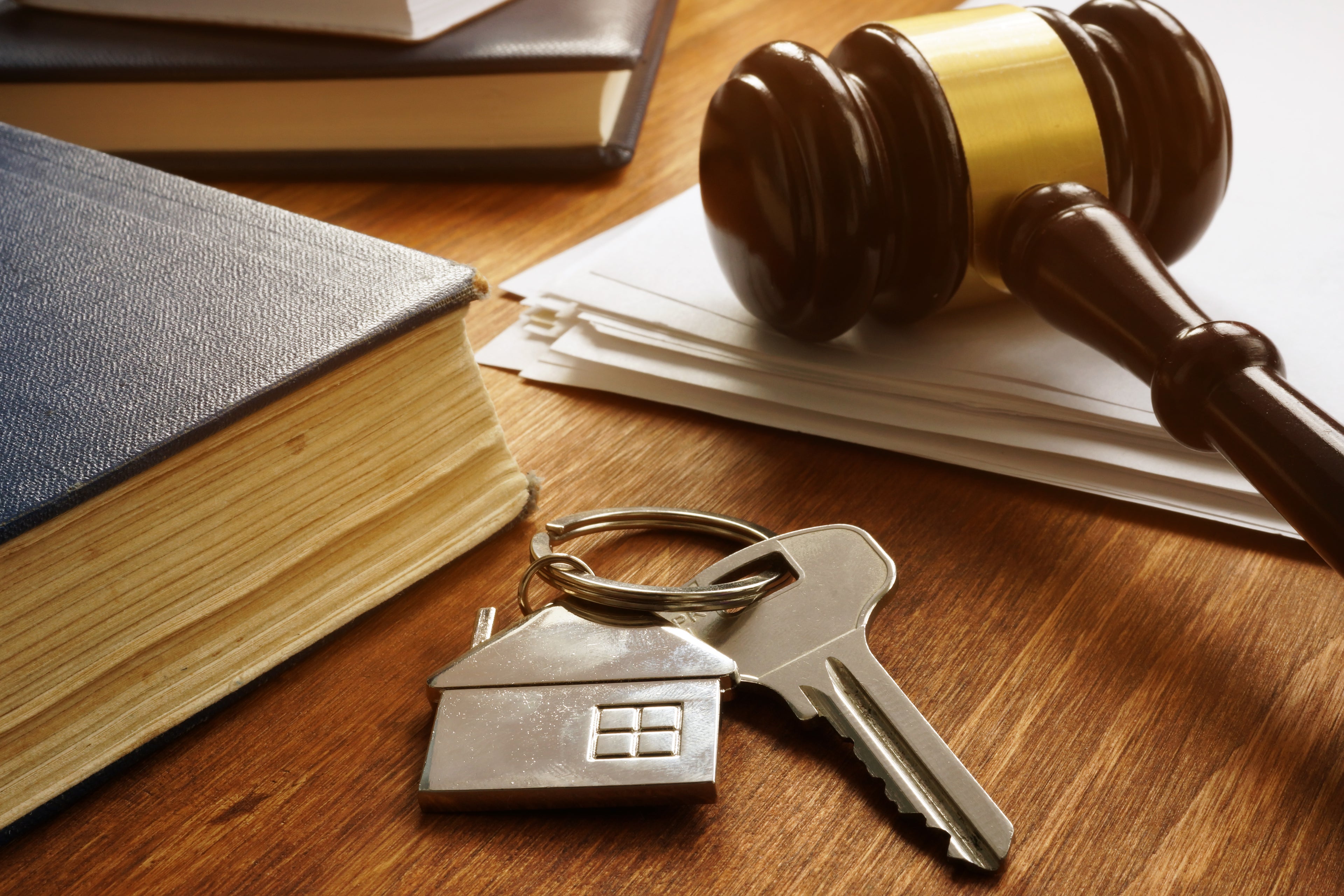 gavel with law book