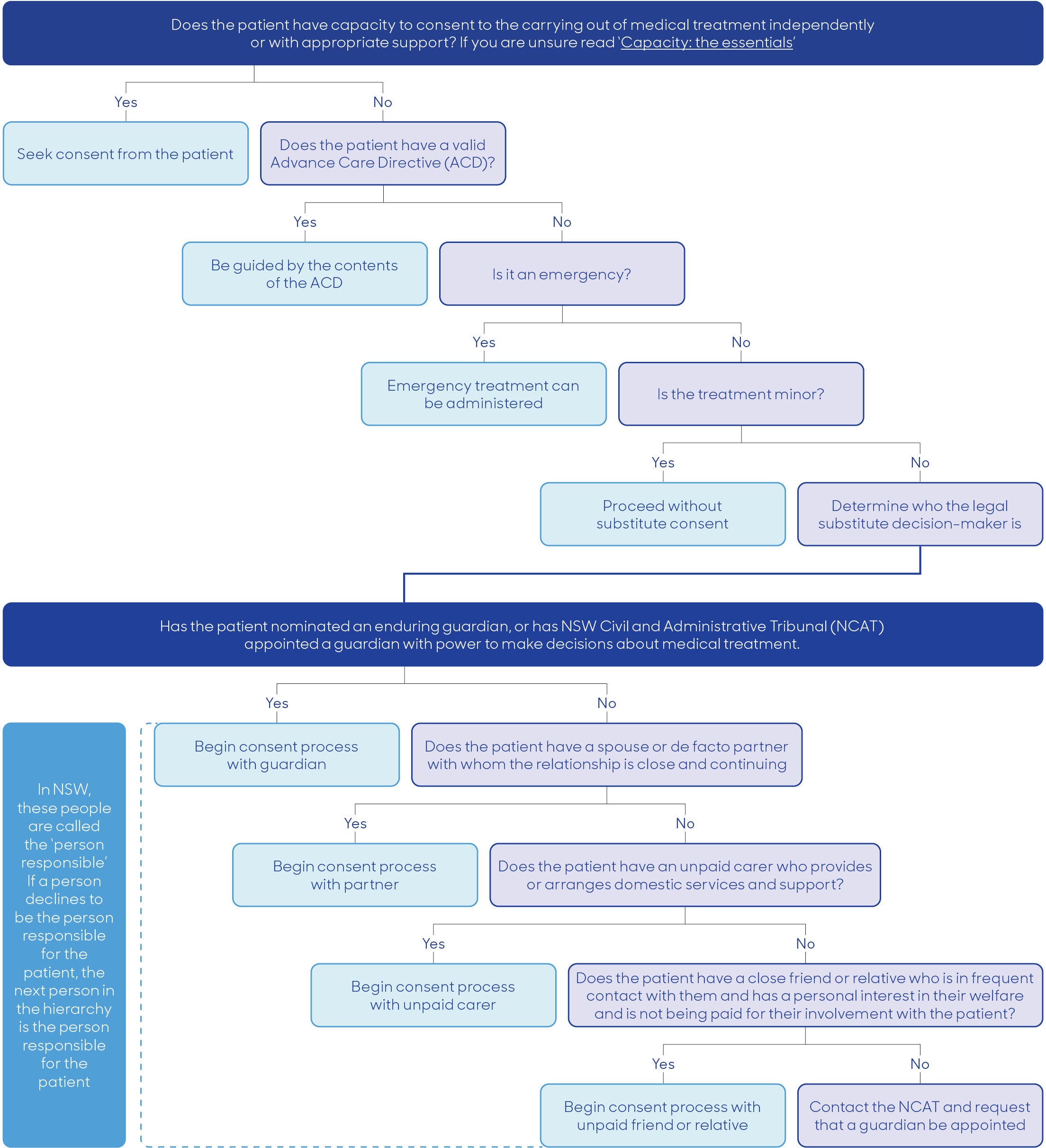 Substitute decision-makers flowchart NSW