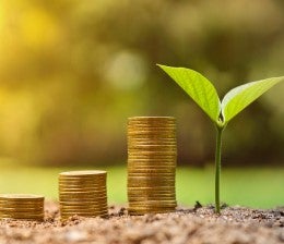 Green shoot next to stack of coins