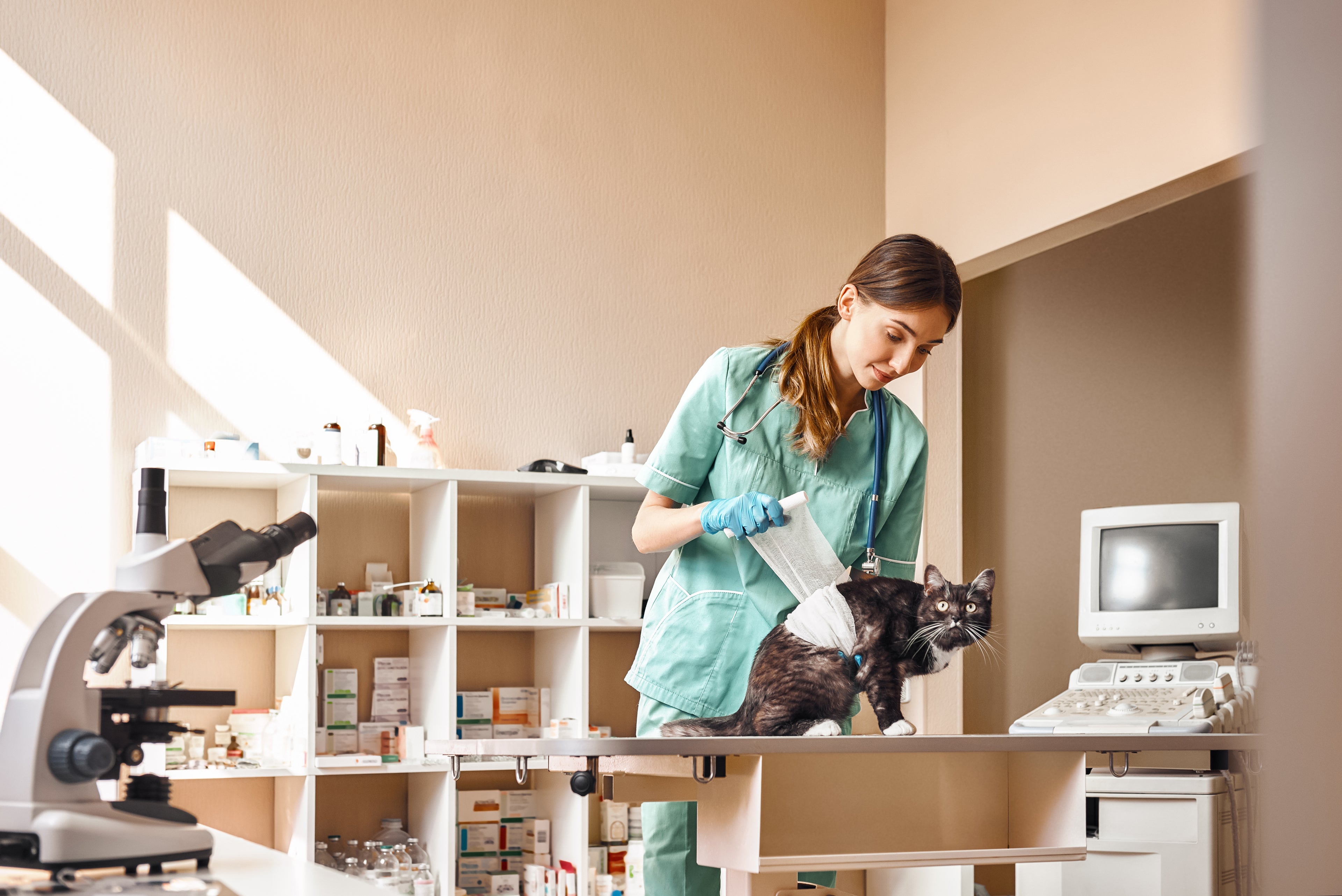 Female vet with a cat in a veterinary clinic, thinking about financing options for purchasing a veterinary practice for sale.