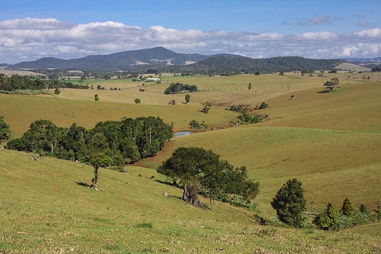 Rural landscape photograph