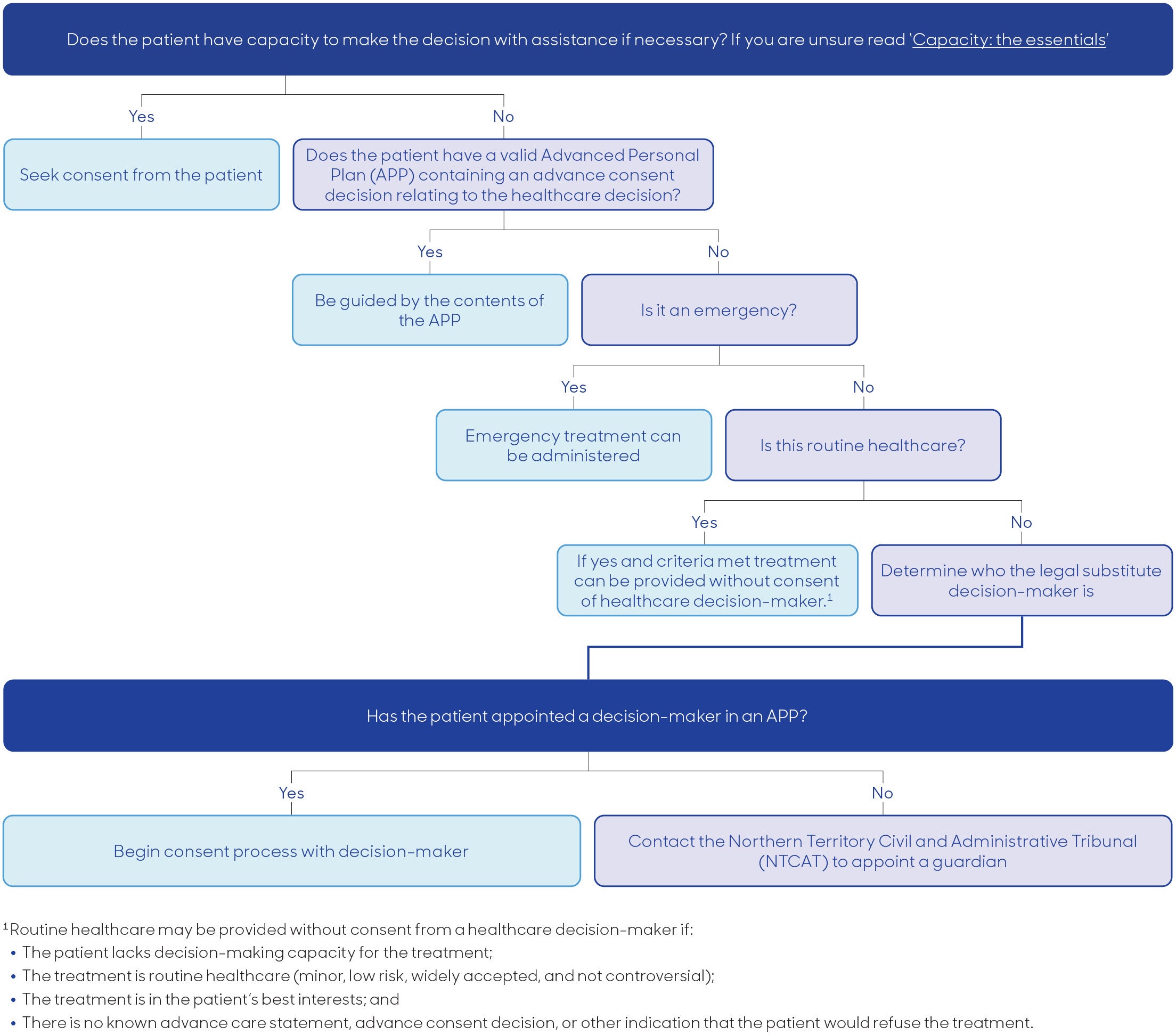Substitute decision-makers flowchart NT