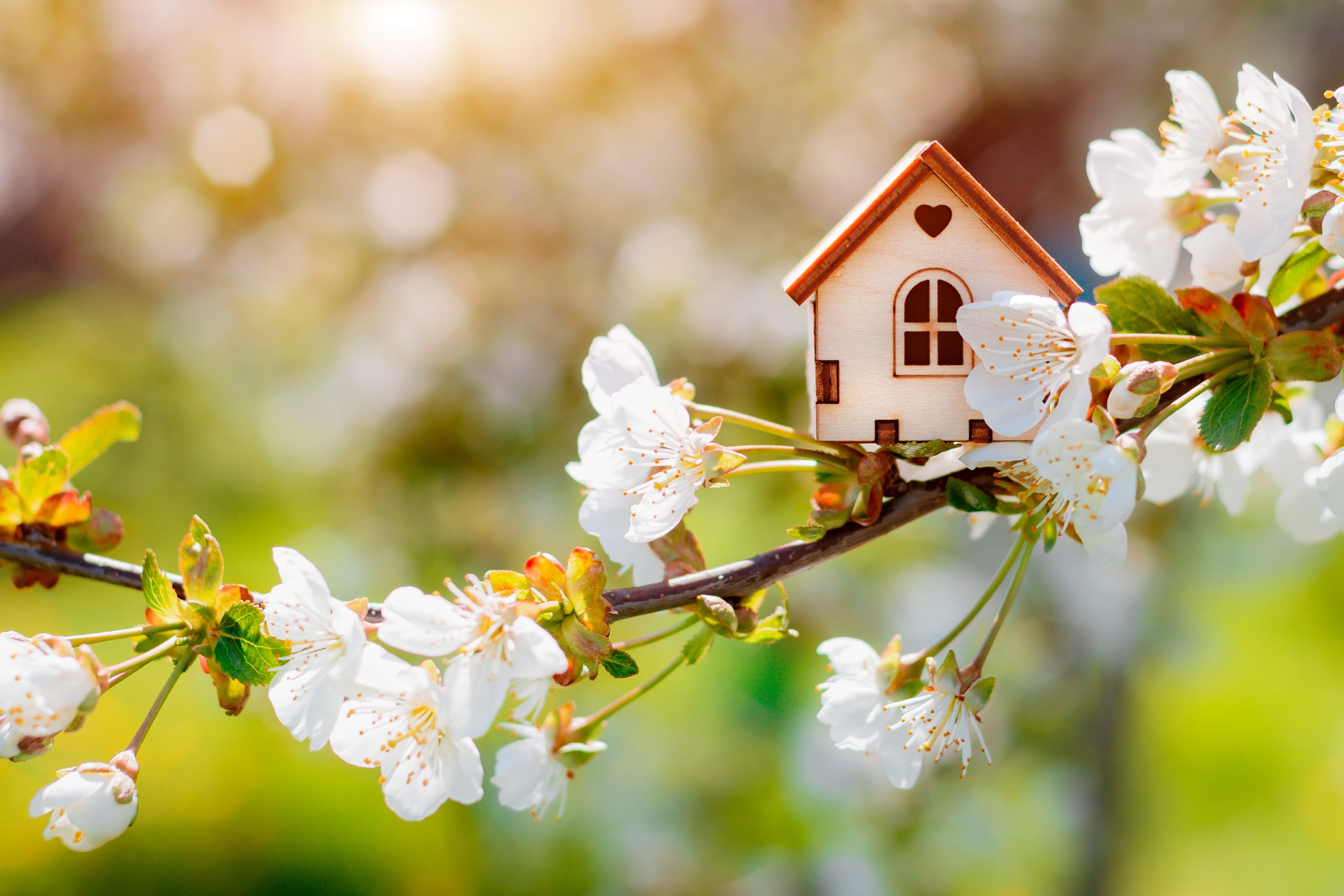 Spring home buying