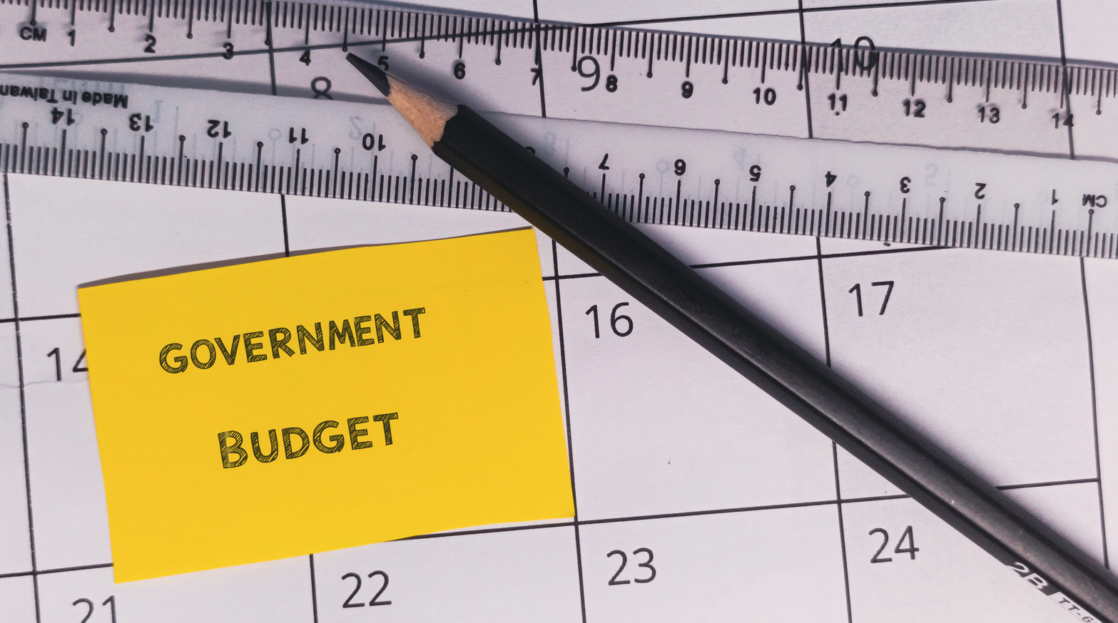 Government budget
